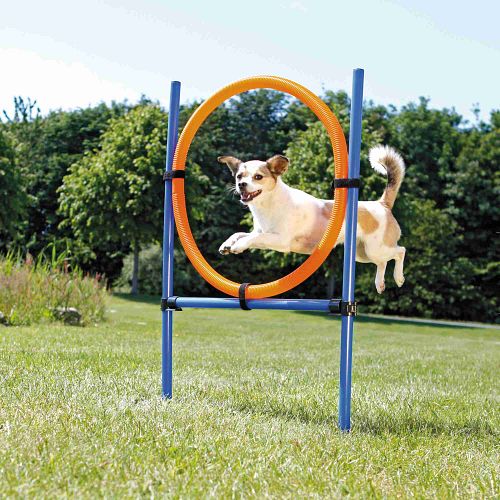 TRIXIE Fun Agility Ring, Kunststoff, 115 × ø 3 cm, ø 65 cm, blau/orange