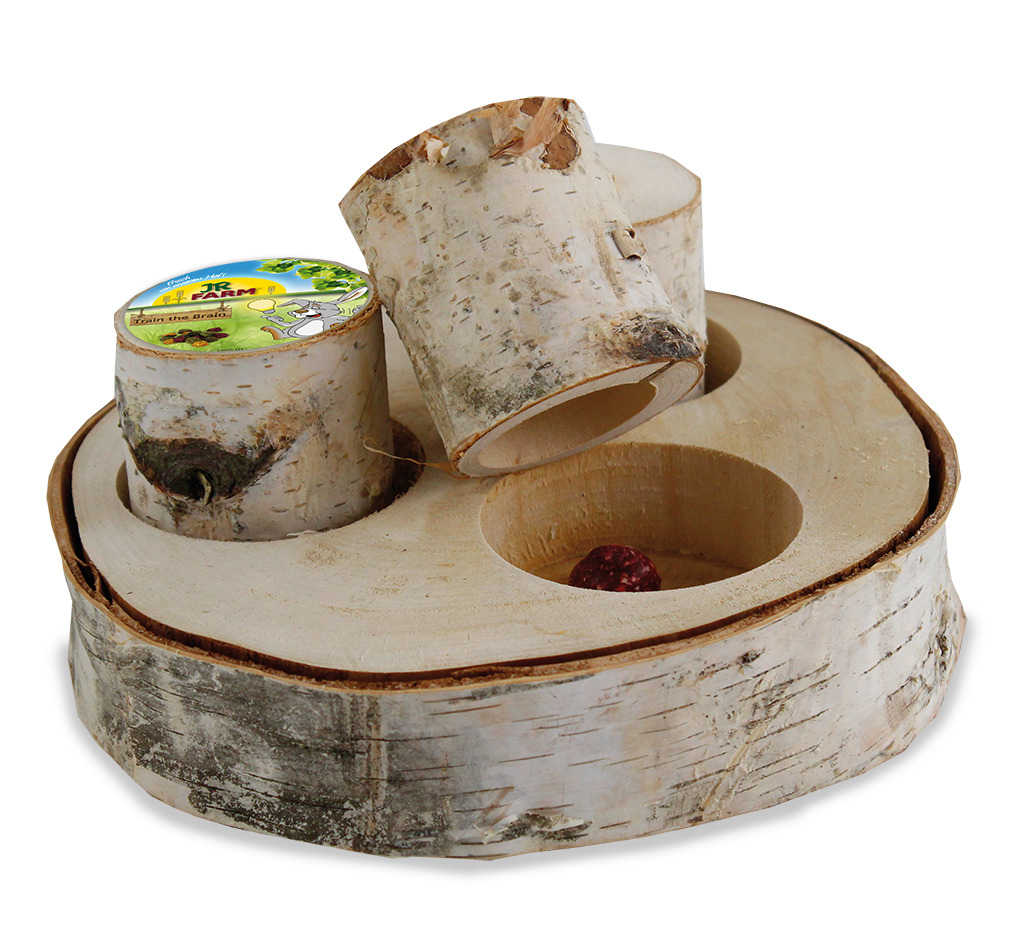 JR FARM Nager Train the Brain Forest (1 Stück) Intelligenzspielzeug für Kleintiere