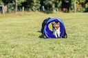 Vorschaubild TRIXIE Fun Agility Mini Tunnel, ø 40 cm/2 m, blau