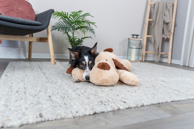 TRIXIE Ankuschelhund Benny, Plüsch, 75 cm, beige/braun
