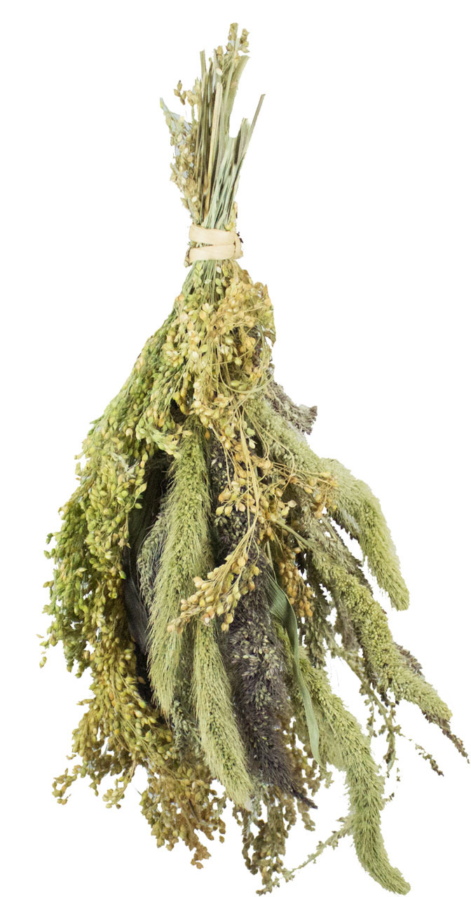 JR FARM Hirsen-Potpourri 50g Vogelsnack