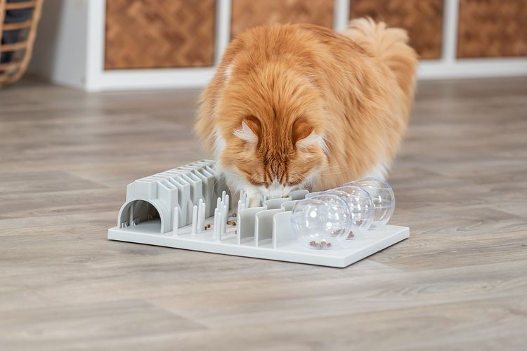 TRIXIE Cat Activity Fun Board XXL, 30 × 40 cm