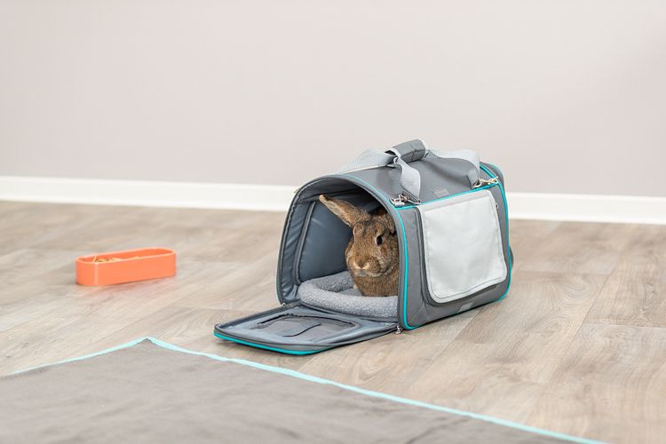 TRIXIE Wohn- und Transporttasche Vicky, 40 × 27 × 28 cm, grau