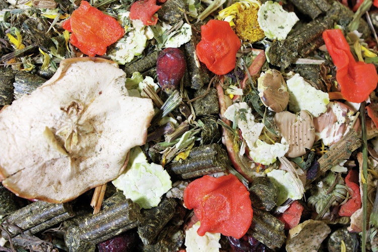 JR FARM Grainless Mix Chinchilla 650g Kleintierfutter