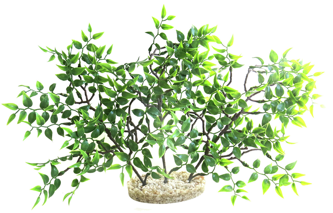 Sydeco Mangrove River Aquariendekoration