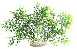 Sydeco Mangrove River Aquariendekoration