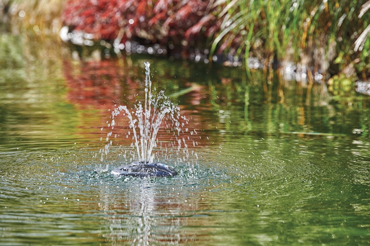 Oase Eisfreihalter IceFree 4 Seasons