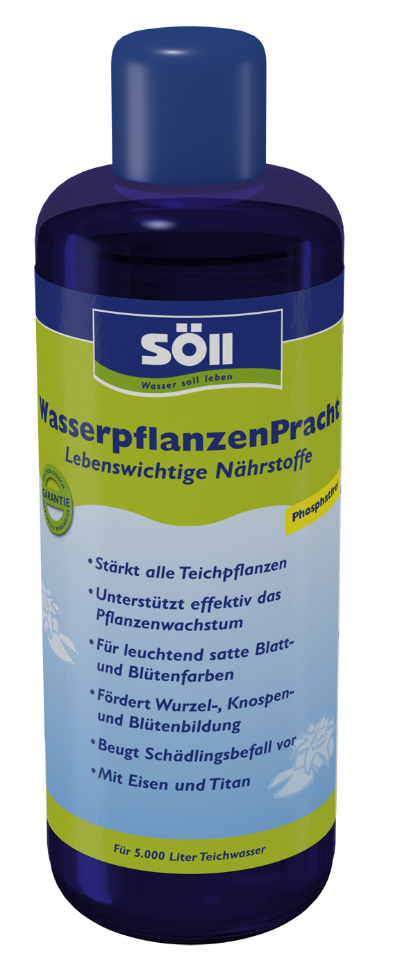 Söll WasserpflanzenPracht