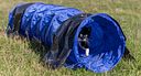 Vorschaubild TRIXIE Fun Agility Mini Tunnel, ø 40 cm/2 m, blau