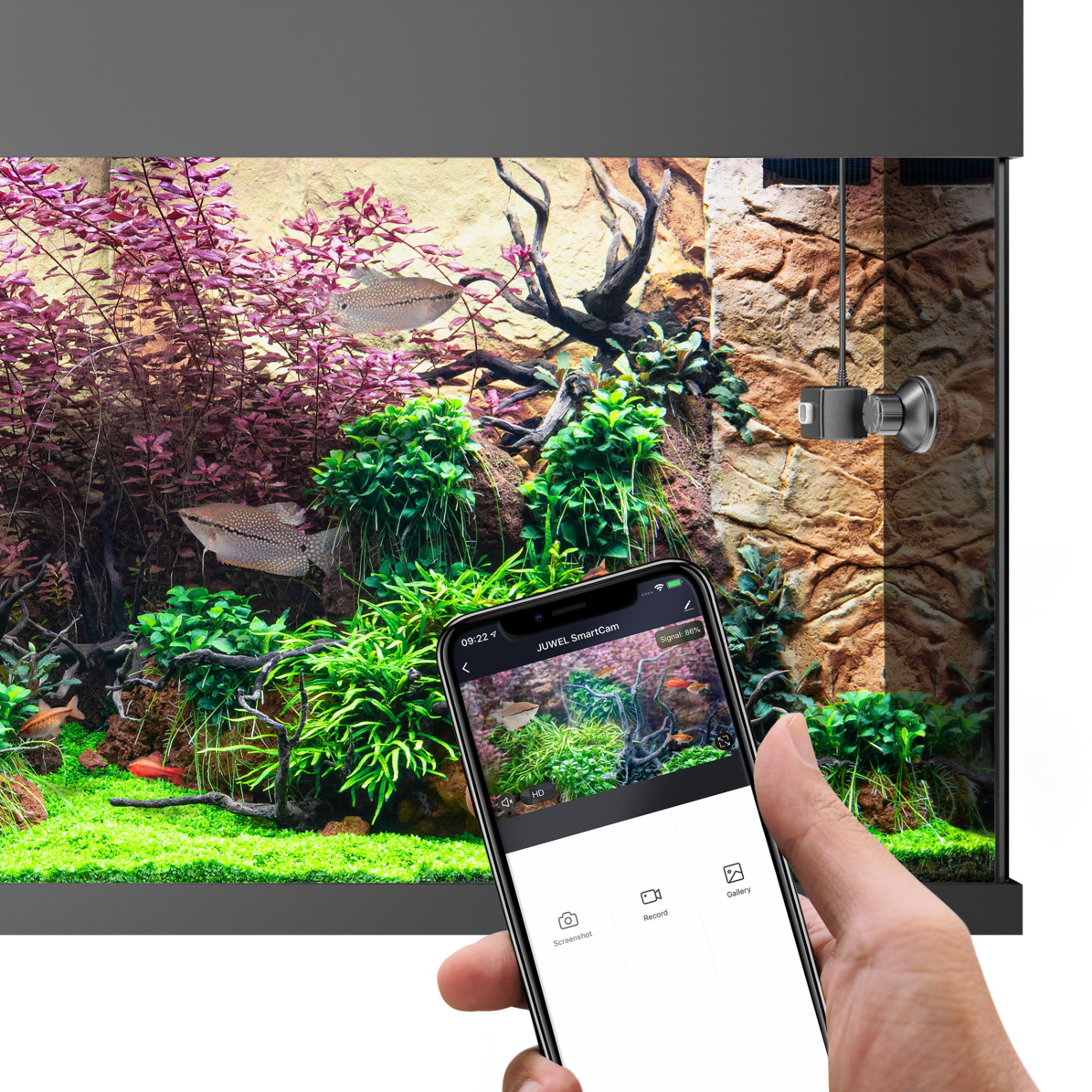 JUWEL SmartCam Unterwasserkamera