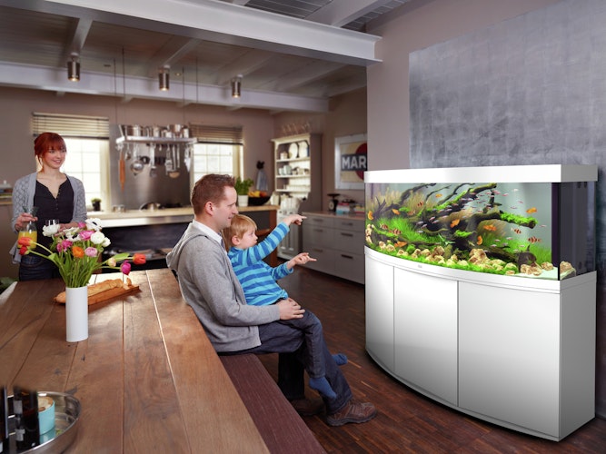 JUWEL Vision 450 LED Aquarium Set