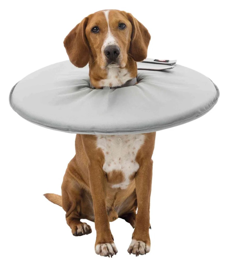 TRIXIE Schutzkragen, Polyester/Schaumstoff, grau