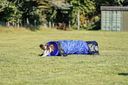 Vorschaubild TRIXIE Fun Agility Mini Tunnel, ø 40 cm/2 m, blau