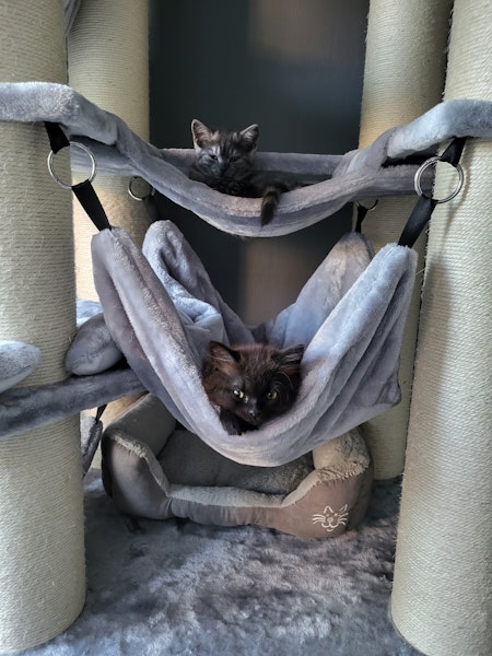 Kundenbild Kundenbild