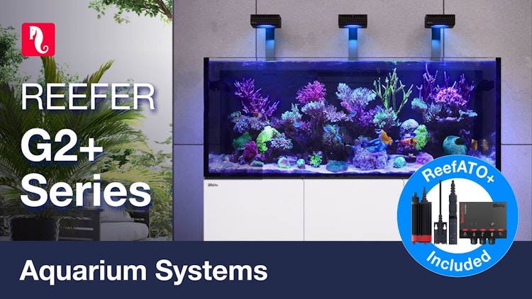 Red Sea REEFER™ 250 G2+ Deluxe System Red Sea REEFER™ 250 G2+ Deluxe System