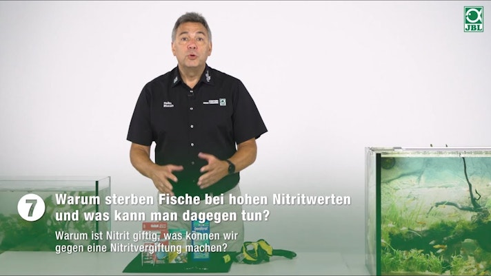 Vorschaubild Youtube-Video Vorschaubild Youtube-Video