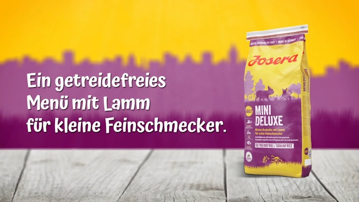 Vorschaubild Youtube-Video Vorschaubild Youtube-Video