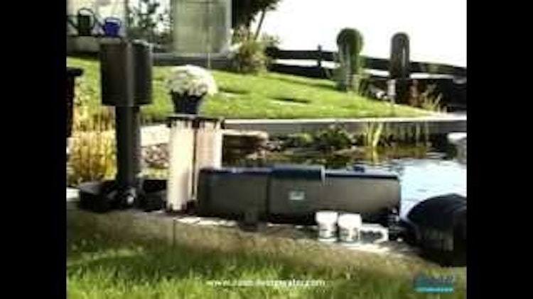 Oase BioSys Skimmer + Oase BioSys Skimmer +