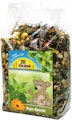 JR FARM Degu-Spezial KleintierfutterVorschaubild